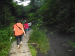 -峡谷浮石林景区