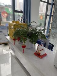 -蕾特恩专业祛痘·皮肤管理