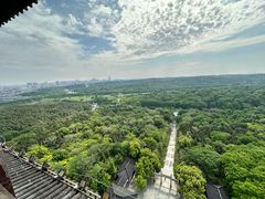 -宜兴龙背山森林公园