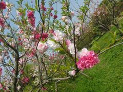 -蜀冈西峰生态公园