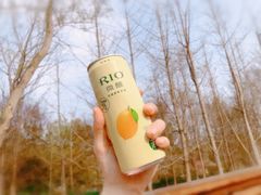 -昆山城市生态森林公园