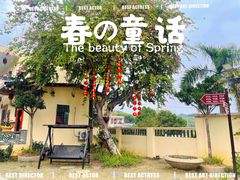 -云顶山庄·粤菜·农家菜(共和店)