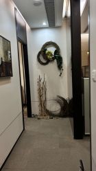 -Oasis Beauty水磨坊科技美肤中心