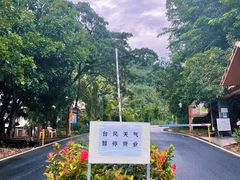 -海南热带雨林国家公园吊罗山景区