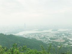 -紫金山山顶公园