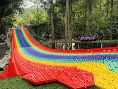 -都江堰玫瑰花溪谷