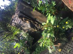 -清迈女子监狱马杀鸡(无分店)