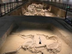 -洛阳周王城天子驾六博物馆