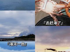 -硇洲岛旅游区