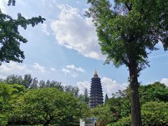 -红梅公园