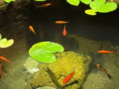 -31号公馆(黄兴广场白果园店)