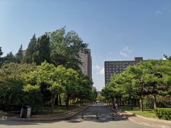-中央民族大学