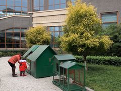 -成都安仁福朋喜来登酒店