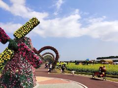 -迪茵湖田家舍生态农场
