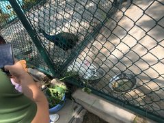 -上海滴水湖皇冠假日酒店