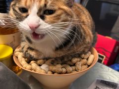 -新荟城(望京店)