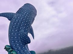 -珠海长隆海洋王国