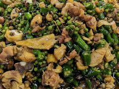 -铁山坪森林公园