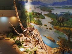 -自贡恐龙博物馆