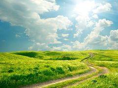 -深巷家味馆.湖北头牌红烧鱼头拌饭(黄陂店)