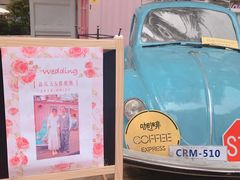 -灯塔咖啡馆BOOK·Coffee Shop