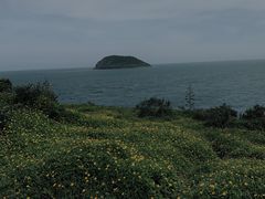 -漳州滨海火山岛自然生态风景区