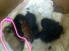 -老谢龙虾(芜湖路店)