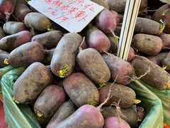 -中国农业博物馆