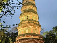 -惠州泗洲塔