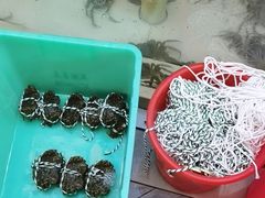 -蟹天蟹地农家菜·阳澄湖大闸蟹(浅水湾店)