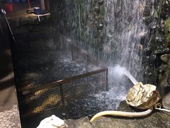 -京北渔家傲