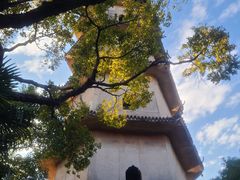 -江心屿景区
