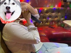 -加州红歌声宴KTV(白石洲店)