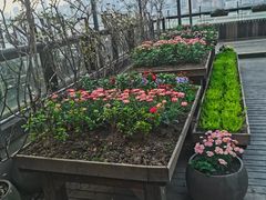 -冰冰龙虾·江湖菜·花园江景餐厅