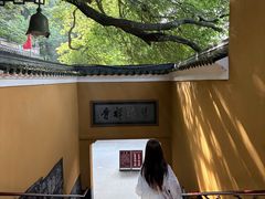 -普陀山慧济禅寺
