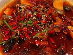 -宏宴·新京菜(望京店)