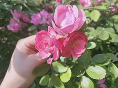 -白鹭湾湿地公园