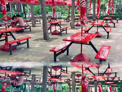 -朝阳公园