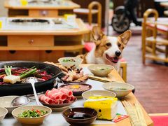 -正贰捌经重庆老火锅(建设路店)
