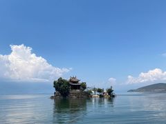-小普陀