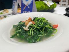 上汤白苋菜-好友缘酒家(会展中心店)
