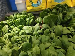 -呷湘厨·鱼汤捞饭·剁椒鱼头·湘菜(国家会展中心店)