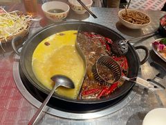-朱光玉火锅馆(龙阳广场店)