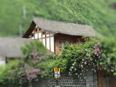 -周公山梦温泉