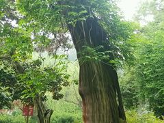 android_upload_pic-新江湾城公园