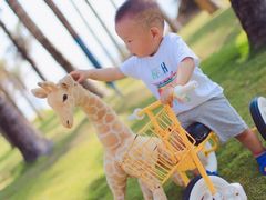 -味餐厅·海鲜·火锅·自助餐