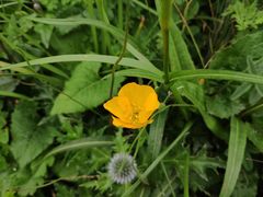 -白草畔自然风景区