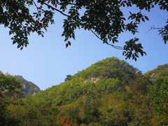 -大连天门山国家森林公园