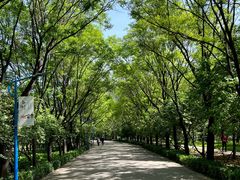 -森林公园(尖草坪区)