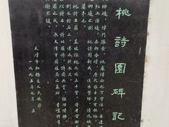 -桃花堤公园